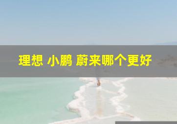 理想 小鹏 蔚来哪个更好